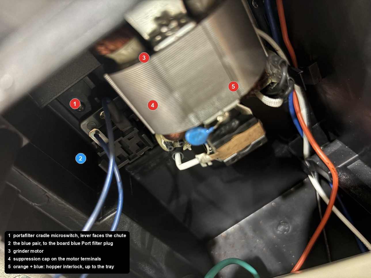 The cradle microswitch on the grinder housing with its blue pair